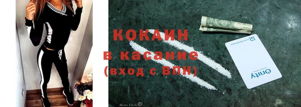 твердый Аркадак