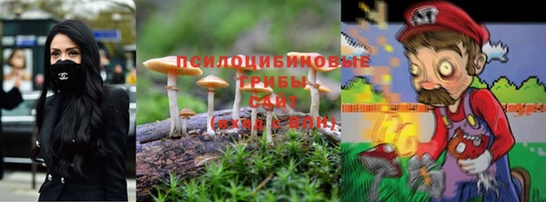 крисы Арсеньев