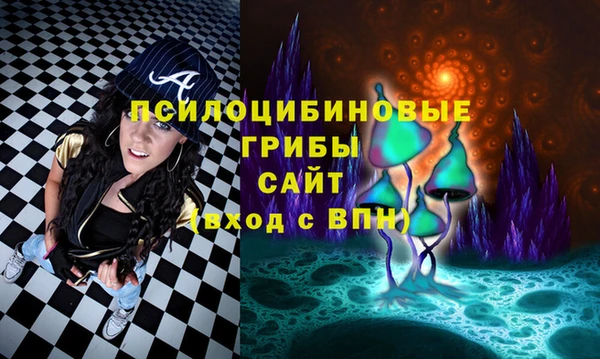 крисы Арсеньев